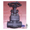Forged Steel Valve A105 Lf2 F304 Material